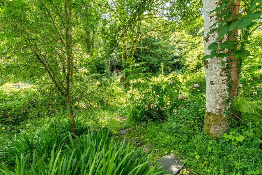 The Old Rectory, Glebe 23 of 24