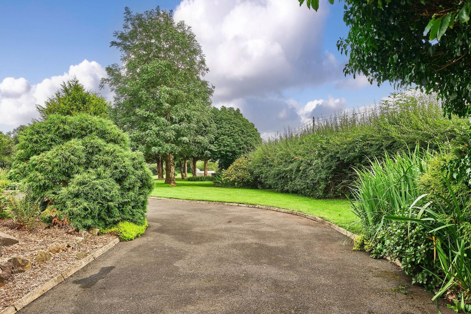 Coolbreene Cottage, 264 Loughan Road 50 of 67