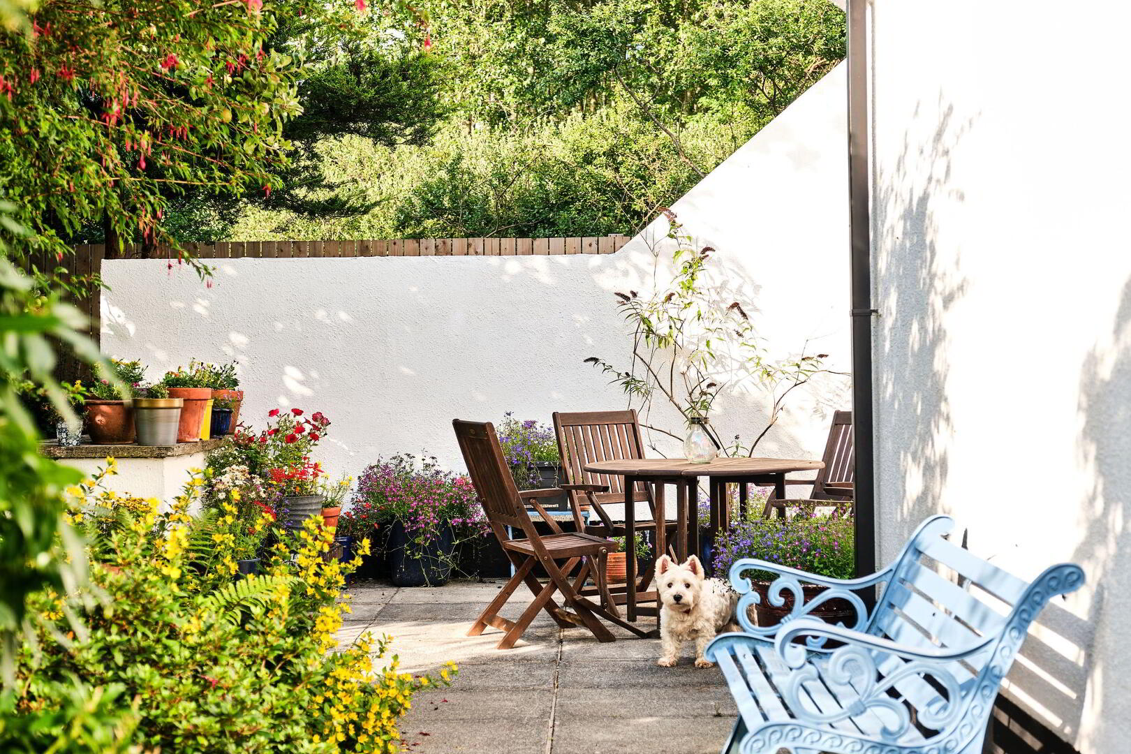 Coolbreene Cottage, 264 Loughan Road 1 of 67