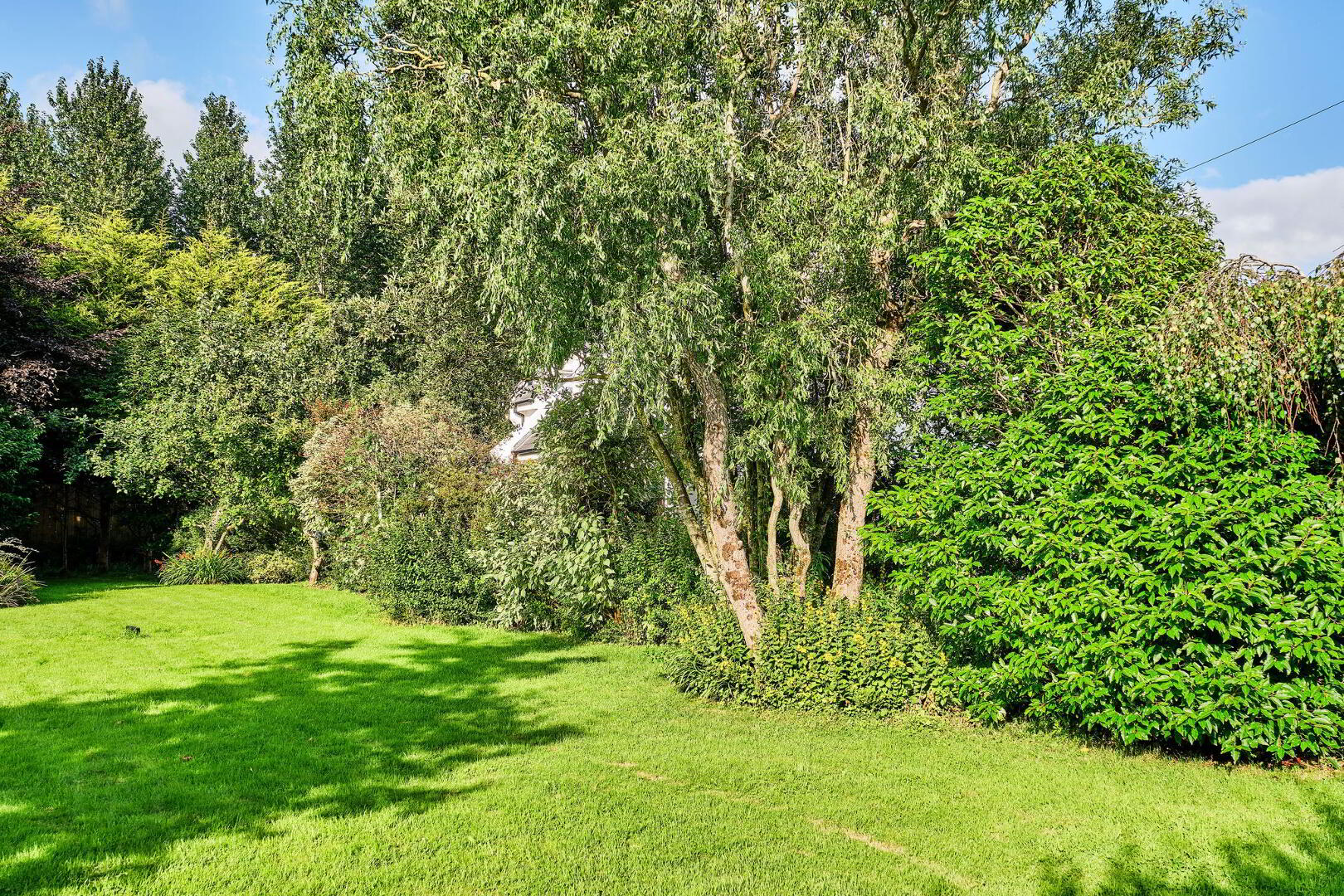 Coolbreene Cottage, 264 Loughan Road 55 of 67