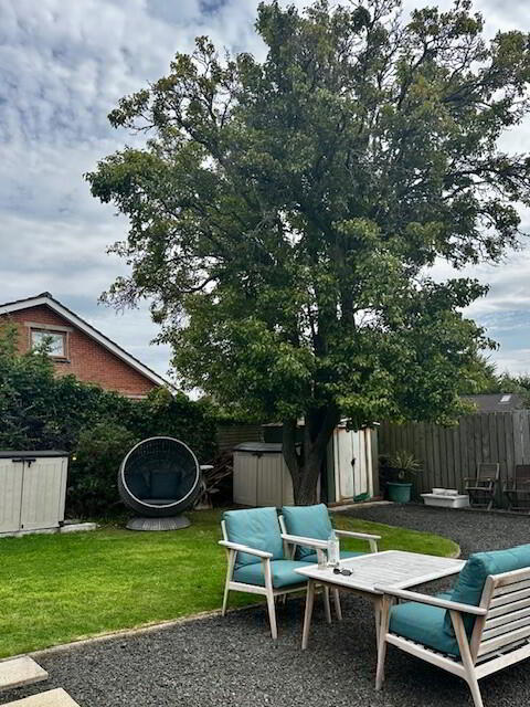 1 Glentoye Park 12 of 14