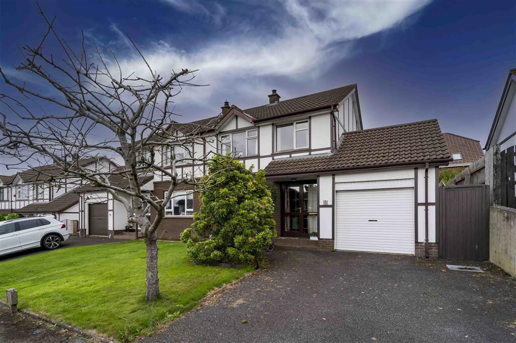 32 Eglantine Park 1 of 17