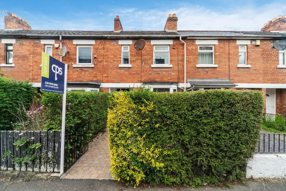 7 Lorne Street 26 of 26