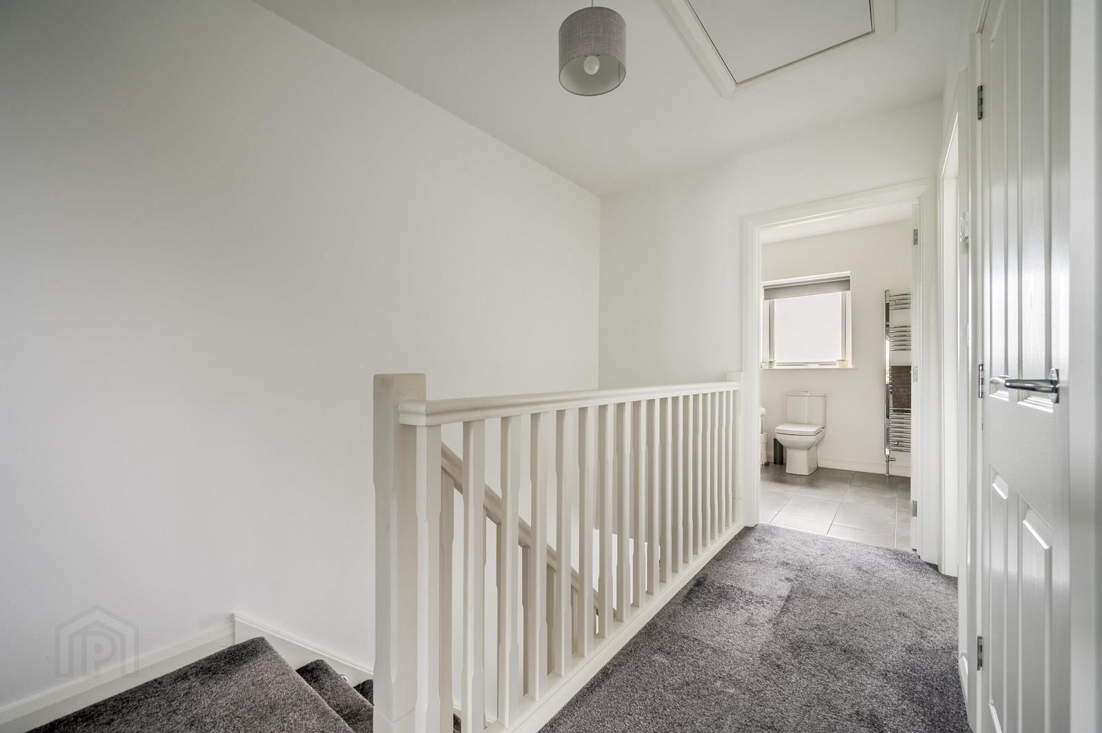 41 Balmoral Road 15 of 25