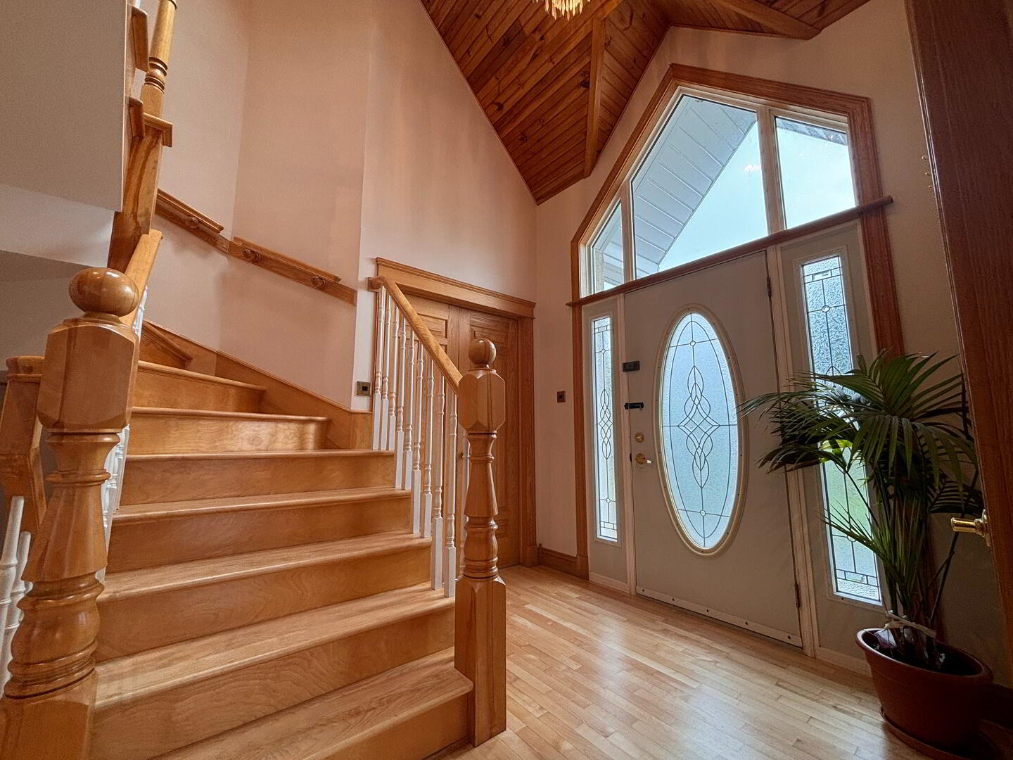 17 Michael St 13 of 64
