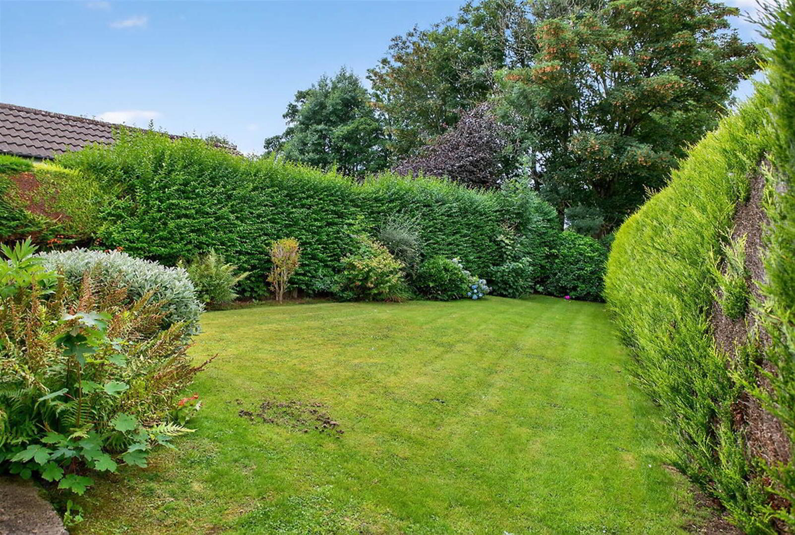 53 Agherton Drive 17 of 19