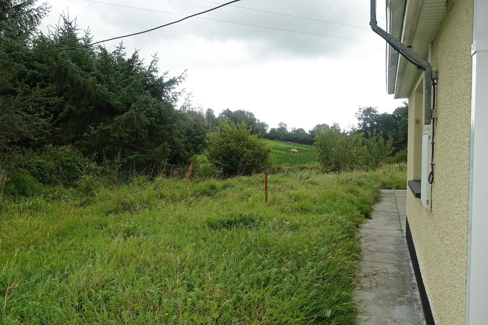 359 Derrygonnelly Road 17 of 18