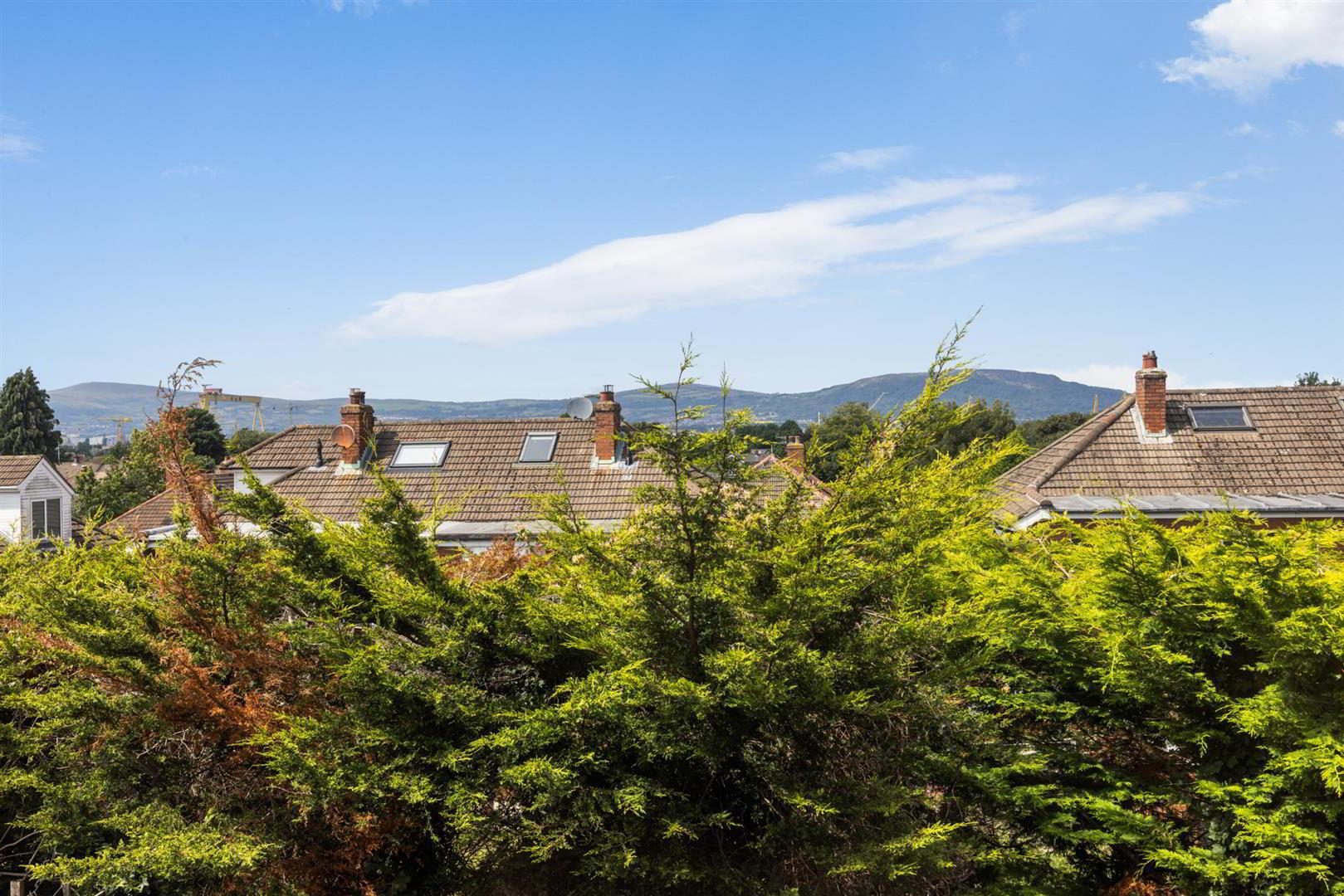136 Ashmount Park 19 of 22