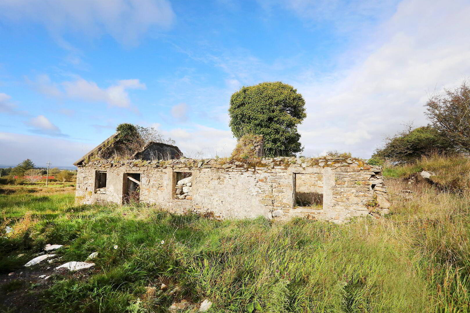 C. 12.5 Acres & Derelict Cottage 1 of 12