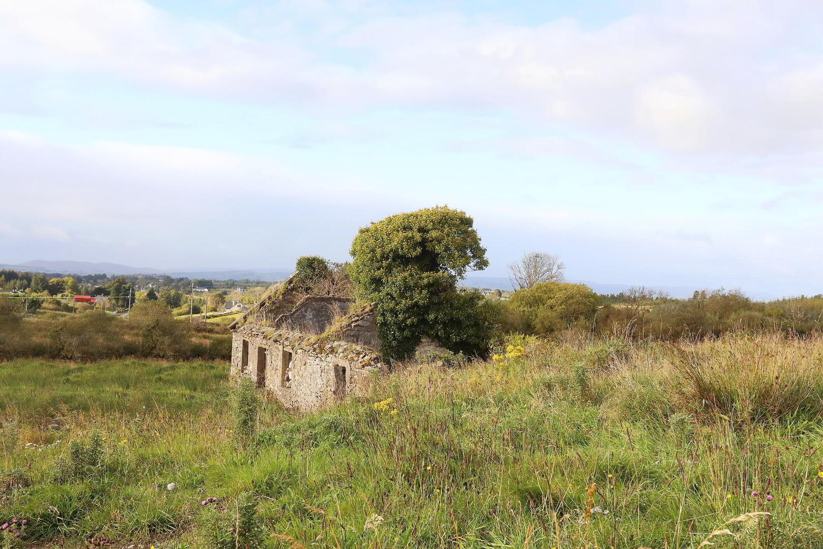 C. 12.5 Acres & Derelict Cottage 3 of 12
