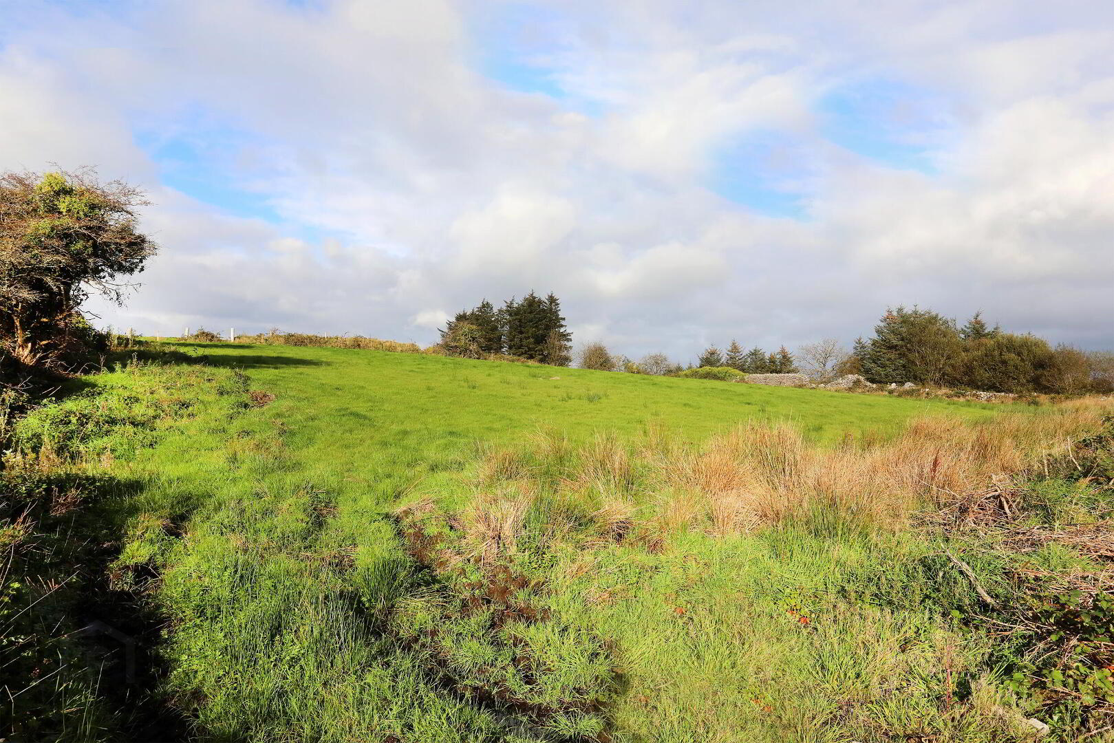 C. 12.5 Acres & Derelict Cottage 5 of 12