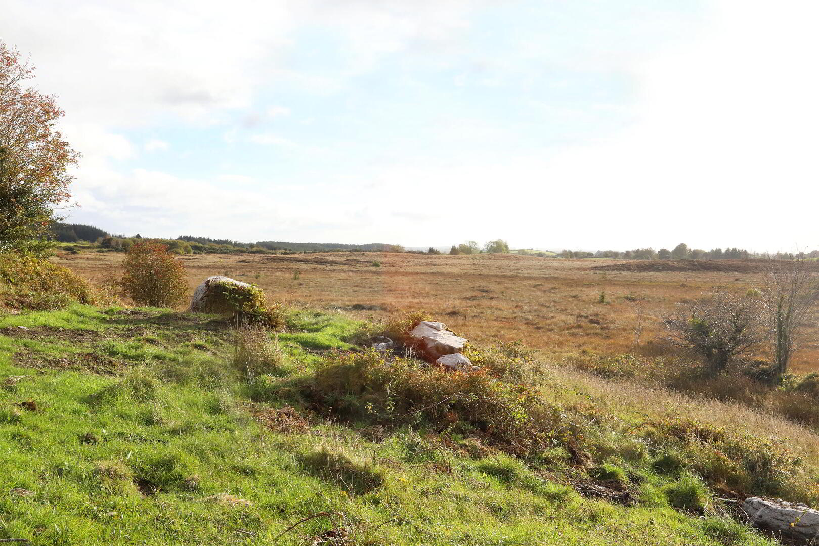 C. 12.5 Acres & Derelict Cottage 7 of 12