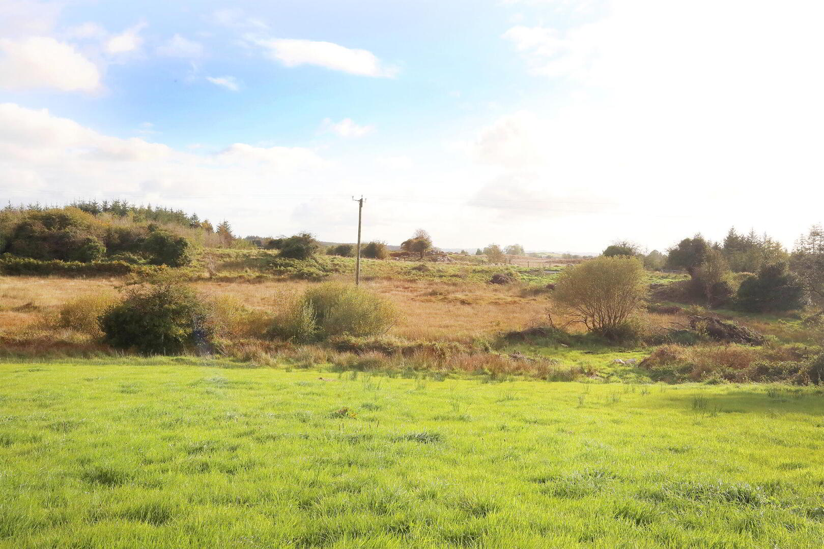 C. 12.5 Acres & Derelict Cottage 8 of 12
