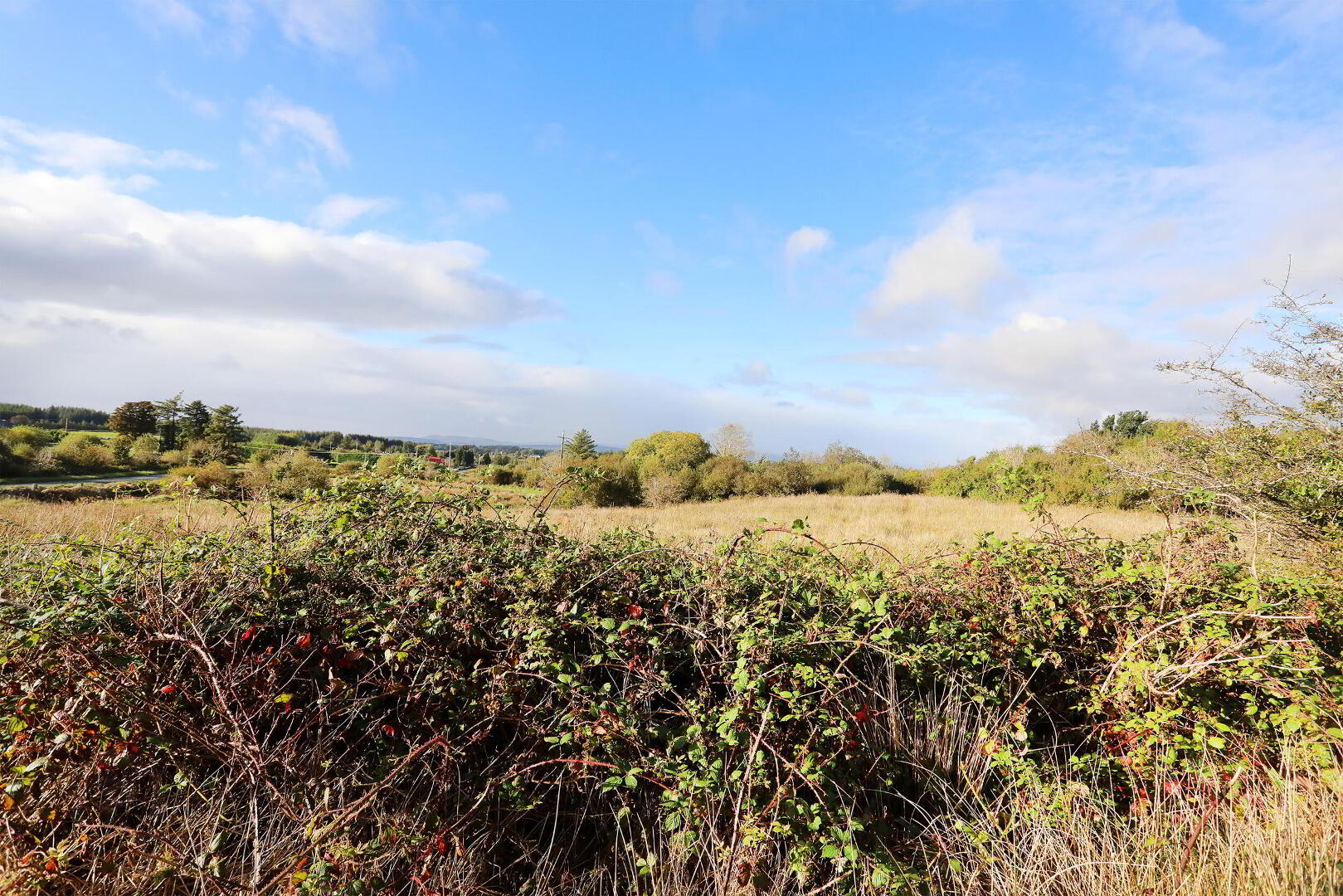 C. 12.5 Acres & Derelict Cottage 9 of 12