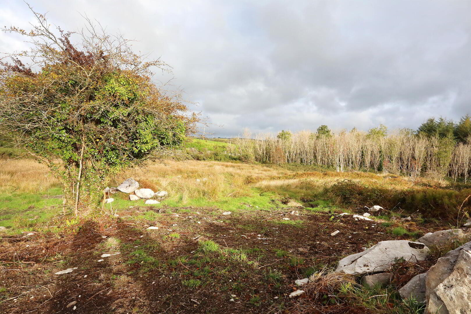 C. 12.5 Acres & Derelict Cottage 11 of 12