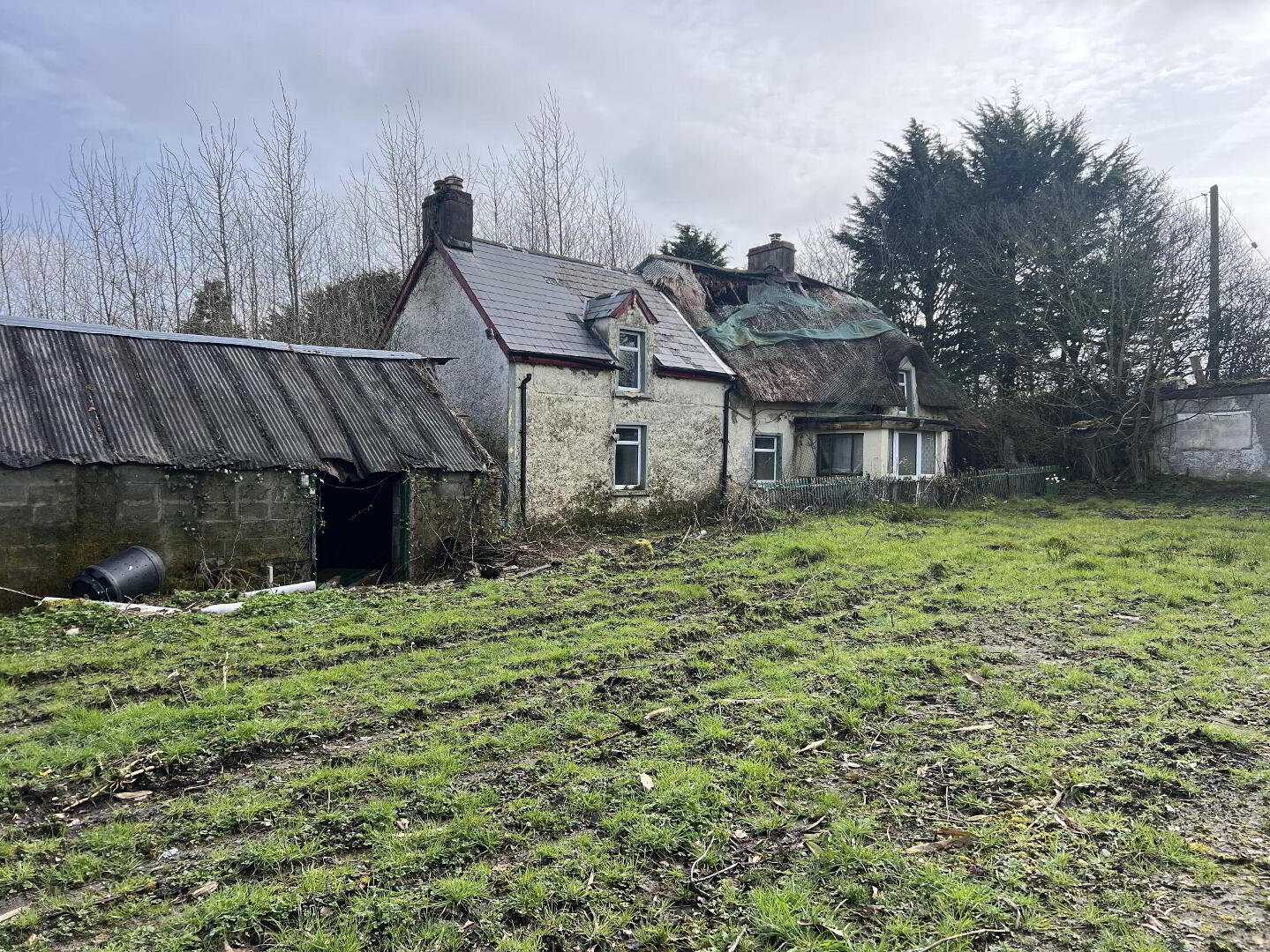 Ballinaslaney 10 of 14