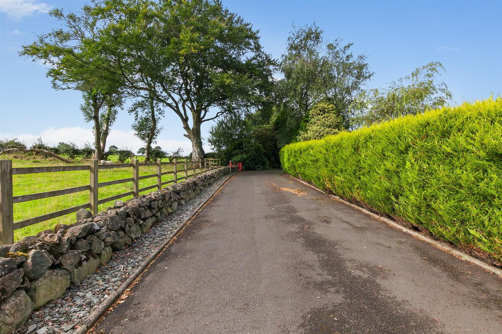 43a Belfast Road 16 of 20