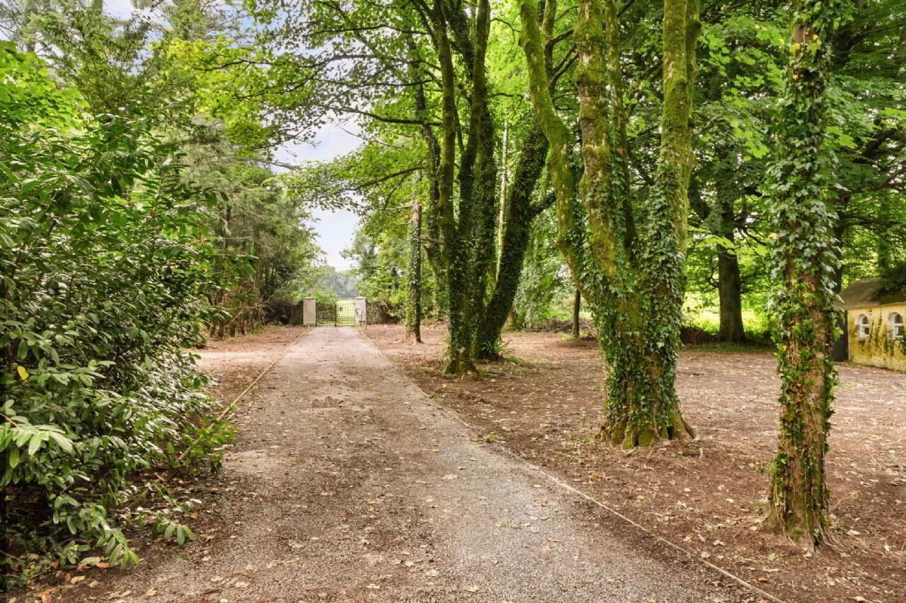 Comeragh House 31 of 36