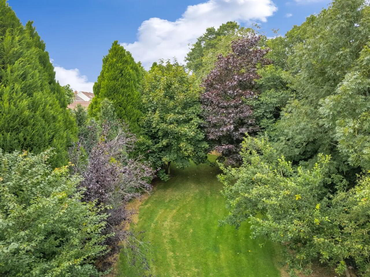 Narnia 46 of 50