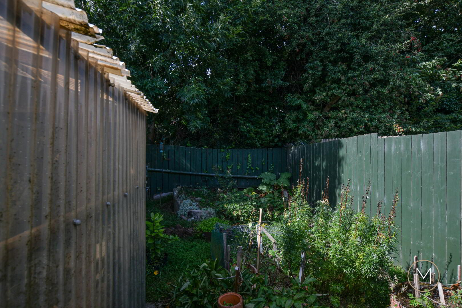 17 Craighill 31 of 32