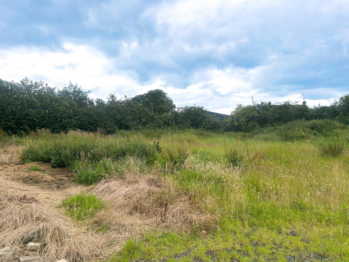 Site A The Woods, 64 Carraloan Road 6 of 11