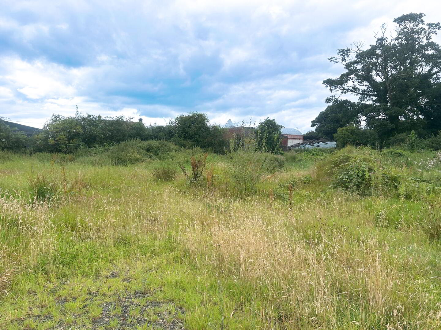 Site B The Woods, 64 Carraloan Road 8 of 10