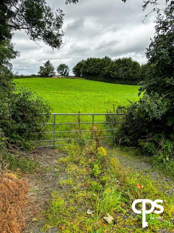 C. 4 Acres In Ballymacnab 4 of 5