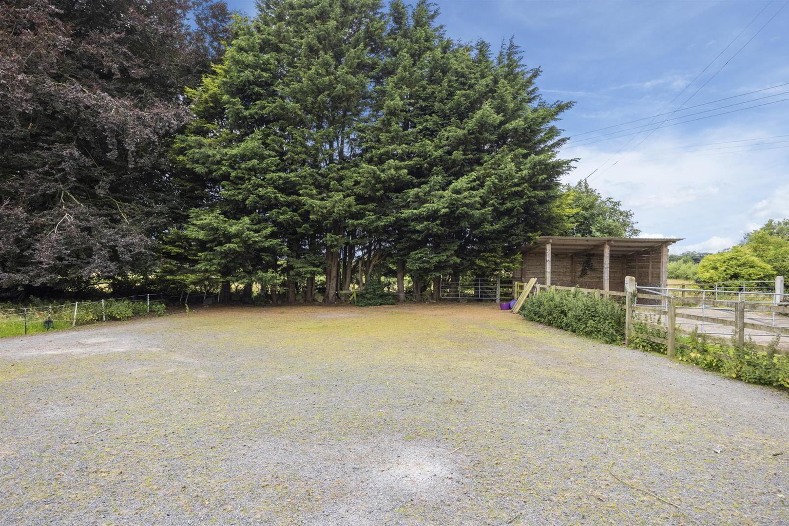 Building Site/ Restoration Project Adj. To, 7 Loughanmore Road 7 of 13