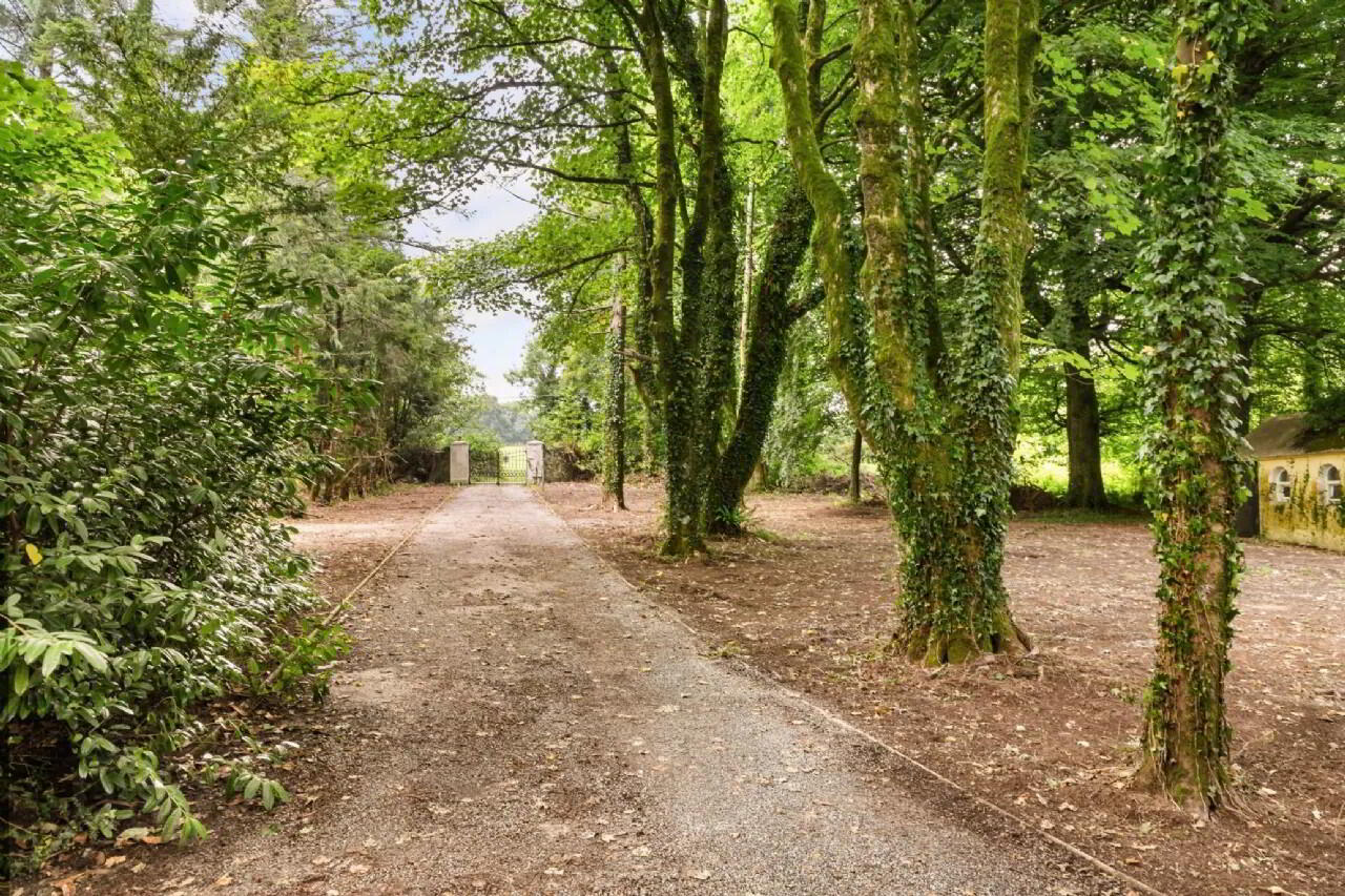 Comeragh House 32 of 34