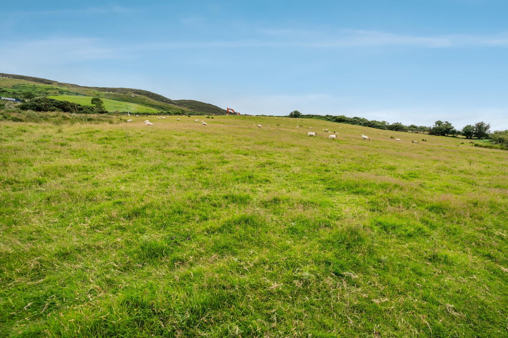 Luddan Plot 9 of 15
