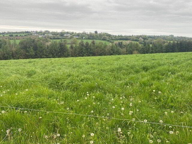 property description image