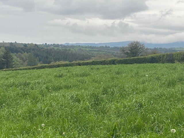 Site B At Ballyminane Mills 3 of 3