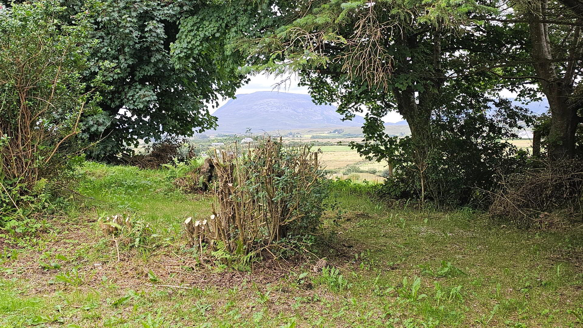 Cashel 21 of 21