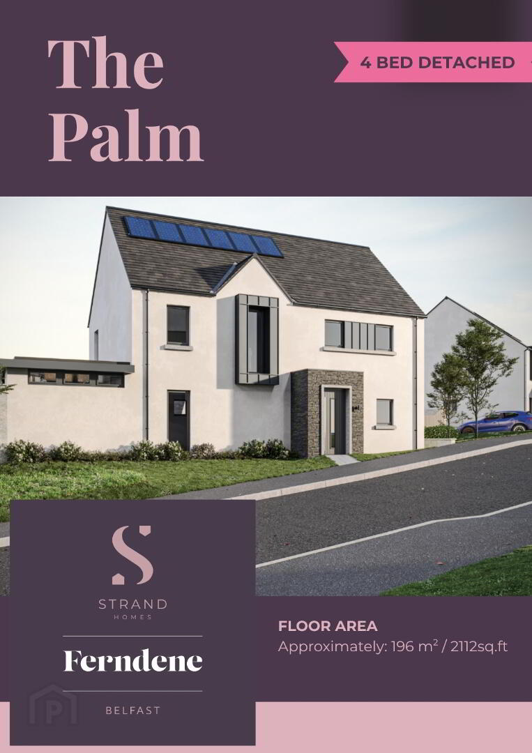 The Palm Fern 2 of 20