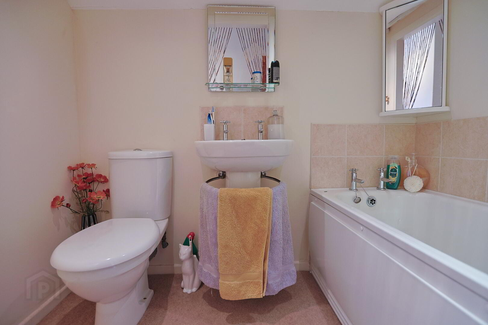 13 Craigs Road 24 of 24