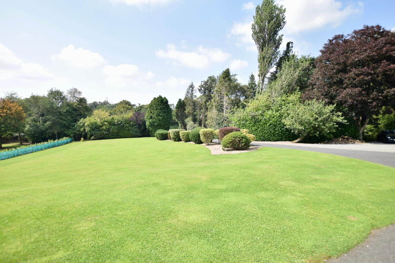 138 Dungannon Road 48 of 49
