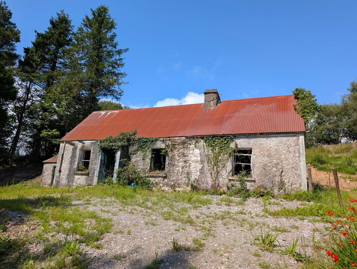 Tullynamoltra Cottage 1 of 20