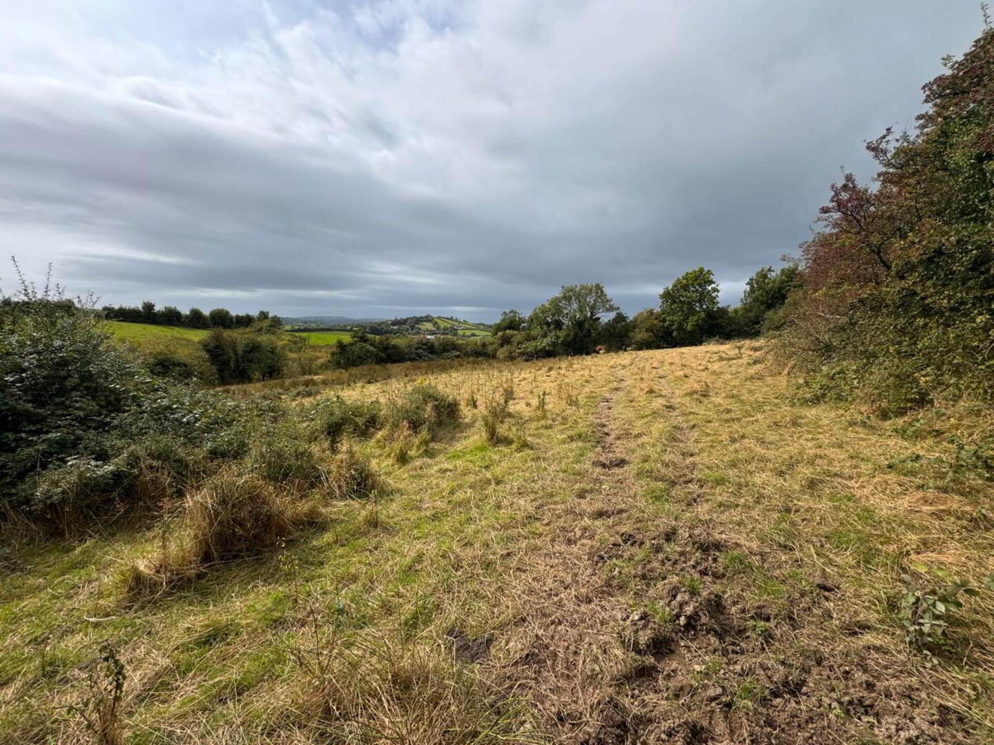 16 Acres @, Corleckduff 6 of 6