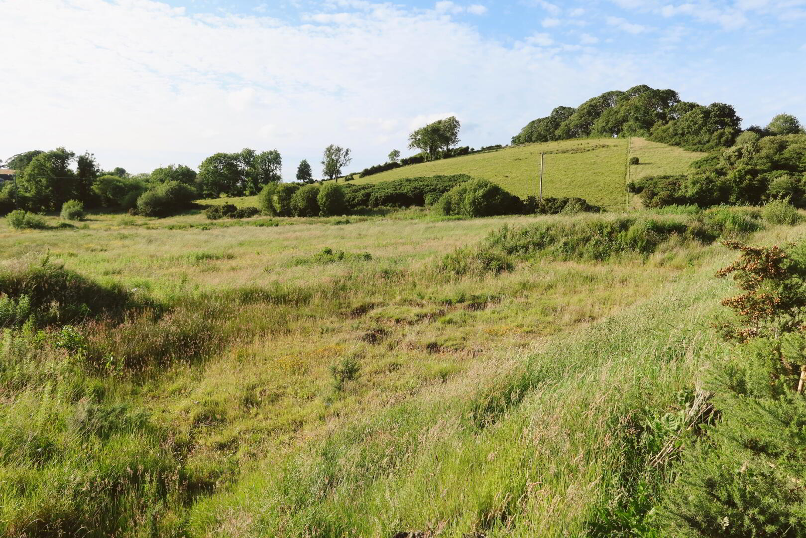Development Site, Quarry Lane 15 of 23