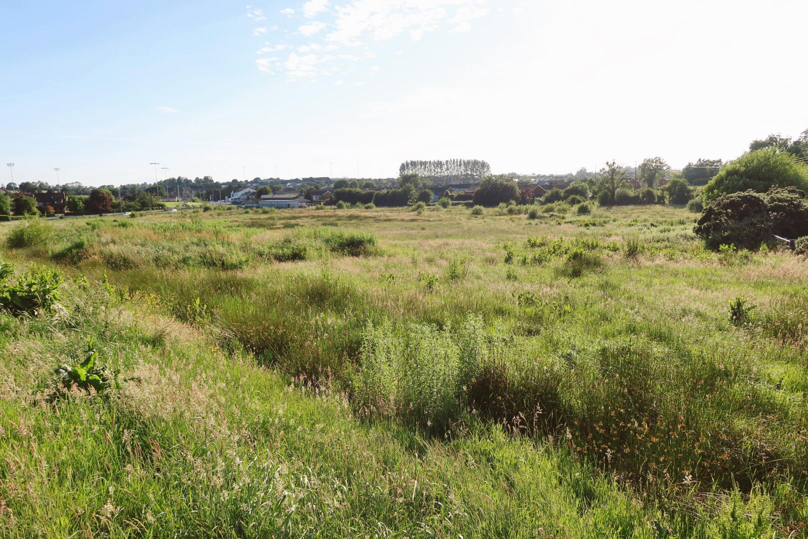 Development Site, Quarry Lane 16 of 23
