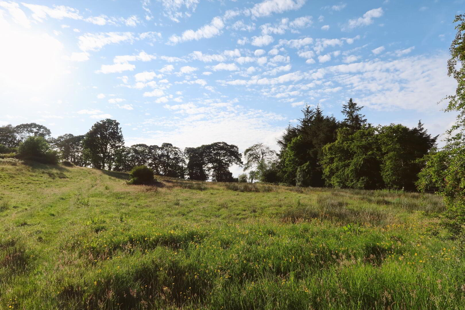 Development Site, Quarry Lane 20 of 23