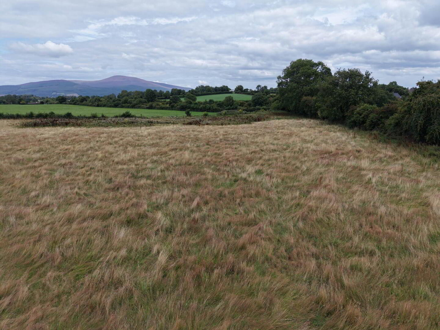 Lands, At Kylebeg 4 of 13