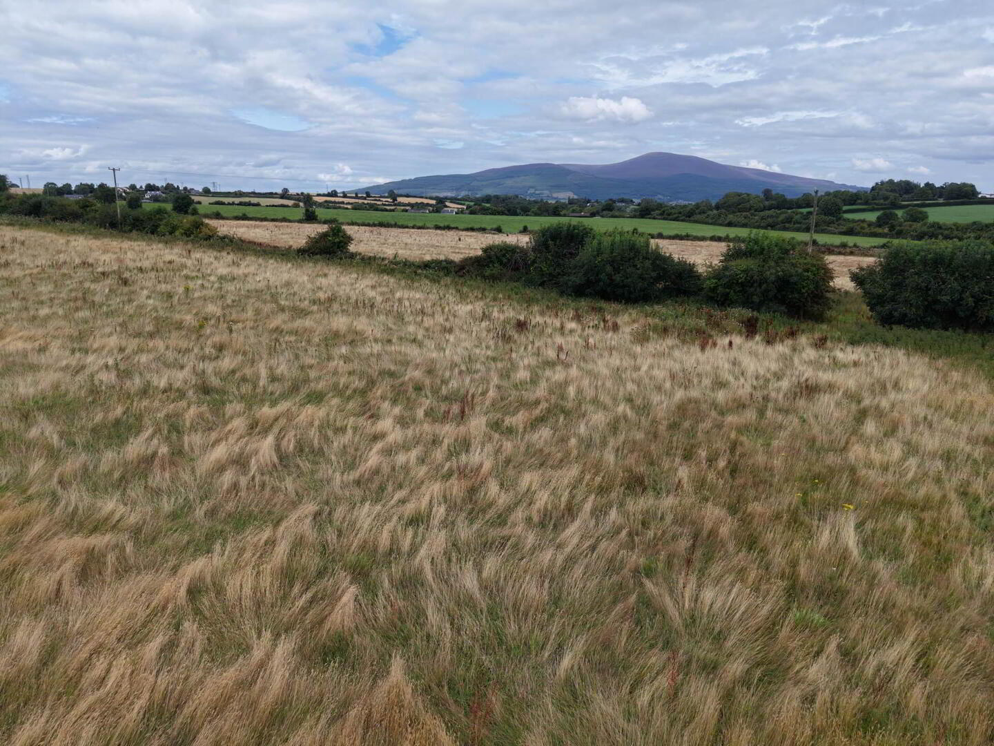 Lands, At Kylebeg 13 of 13