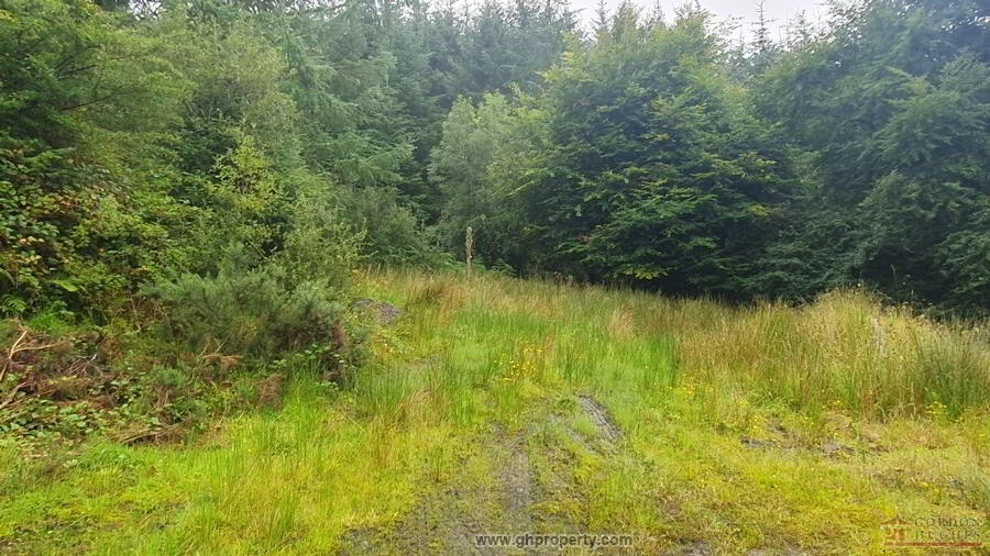 Ballynashee 18 of 18