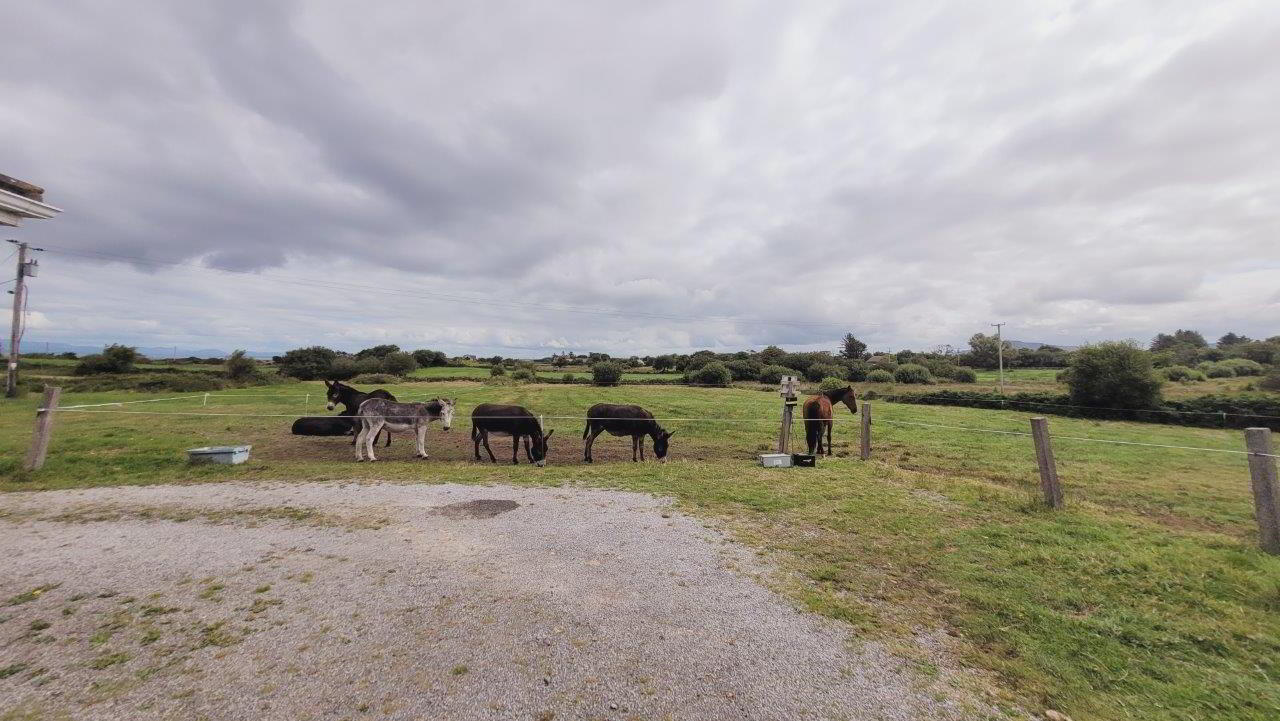 Horseshoe Farm" 26 of 35