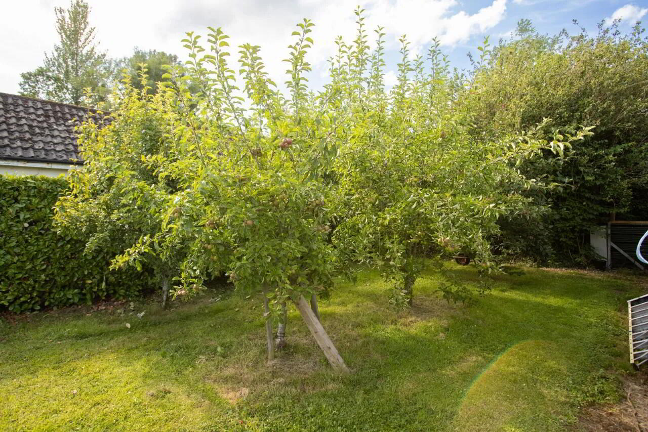 Birdhaven Cottage 61 of 97