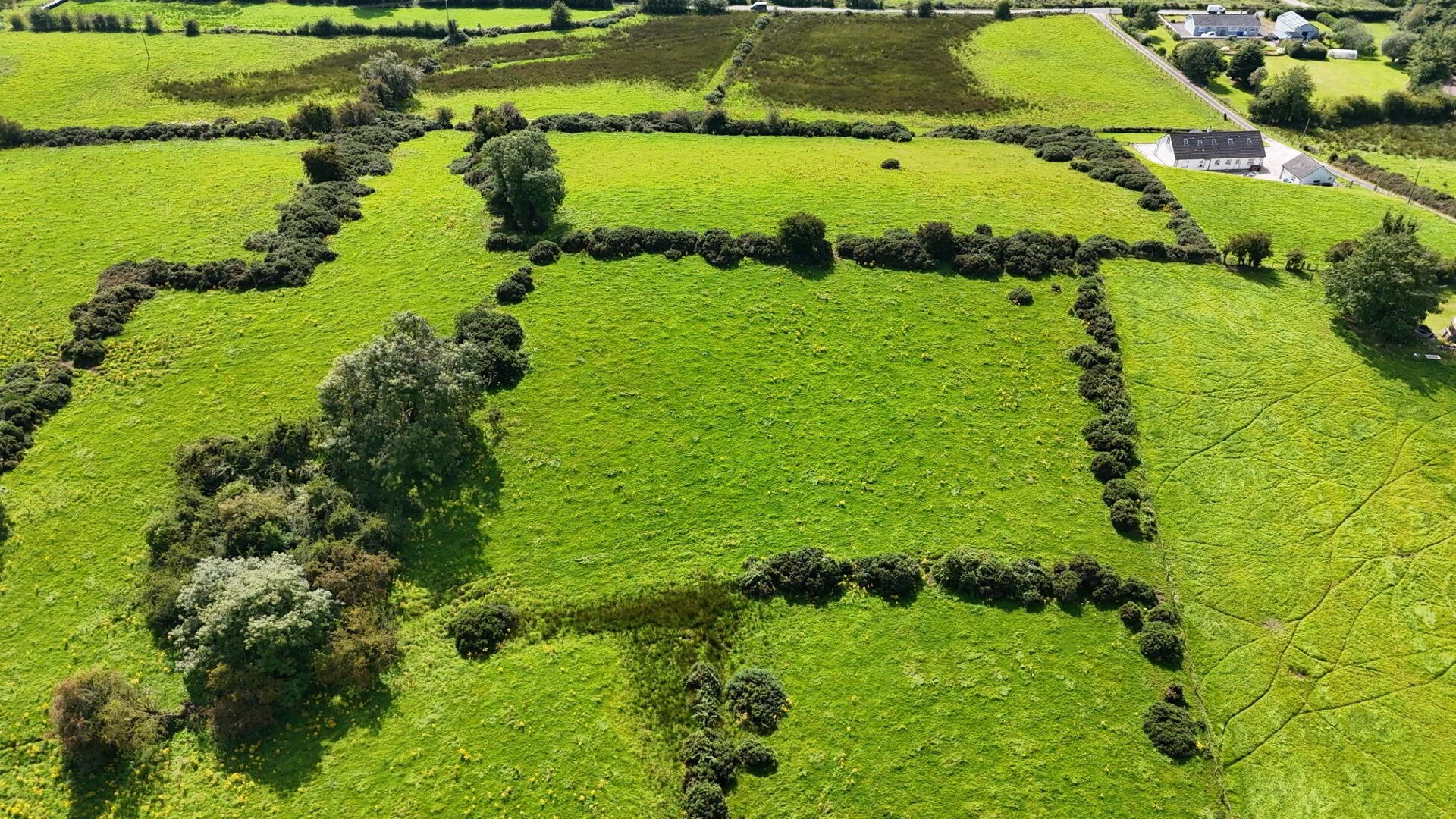 Excellent 12.5 Acre Farm, Kilnahusogue Road 3 of 11