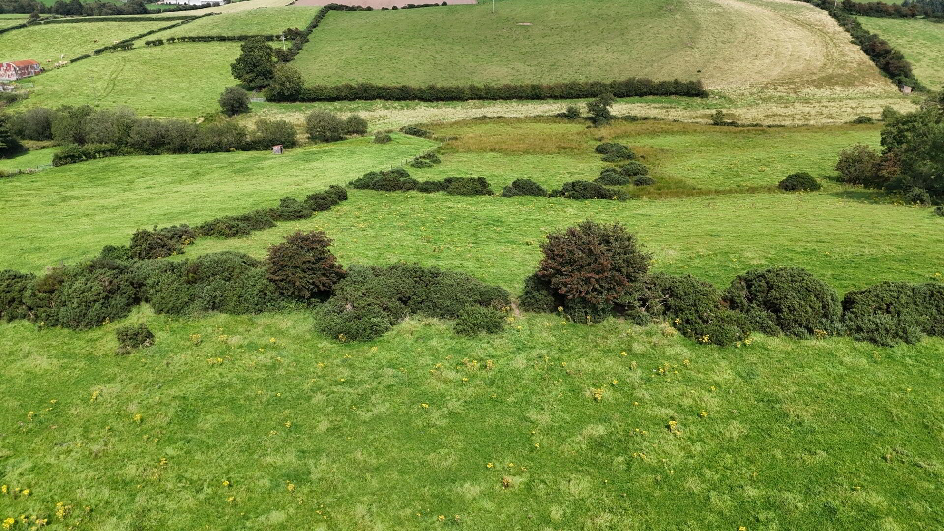 Excellent 12.5 Acre Farm, Kilnahusogue Road 8 of 11