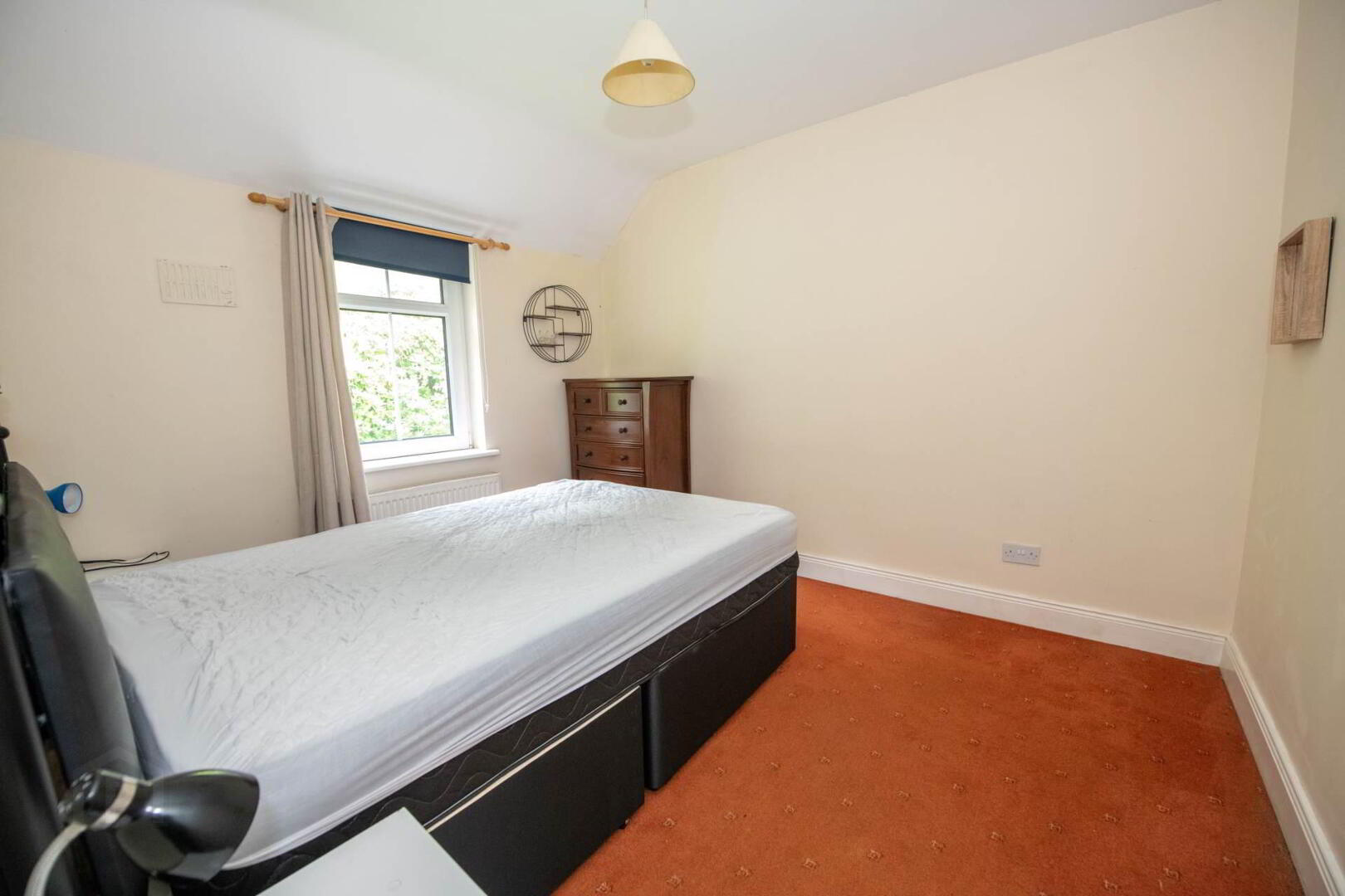66 Ballymacool Wood 18 of 27