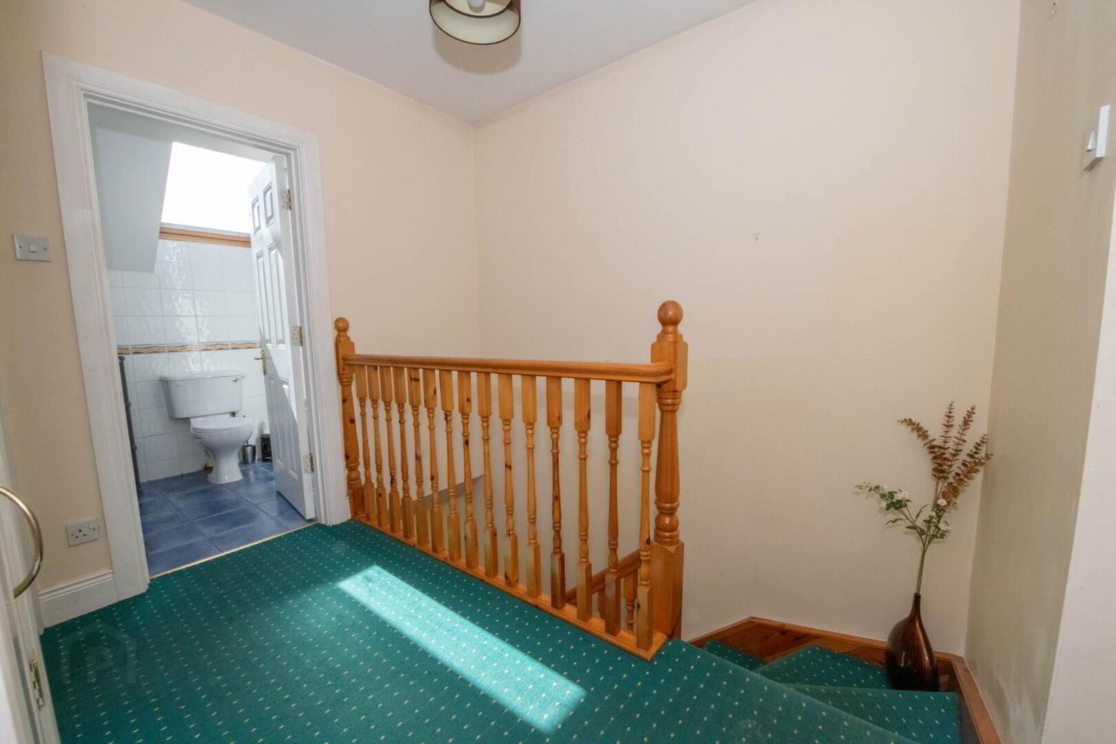 66 Ballymacool Wood 12 of 27